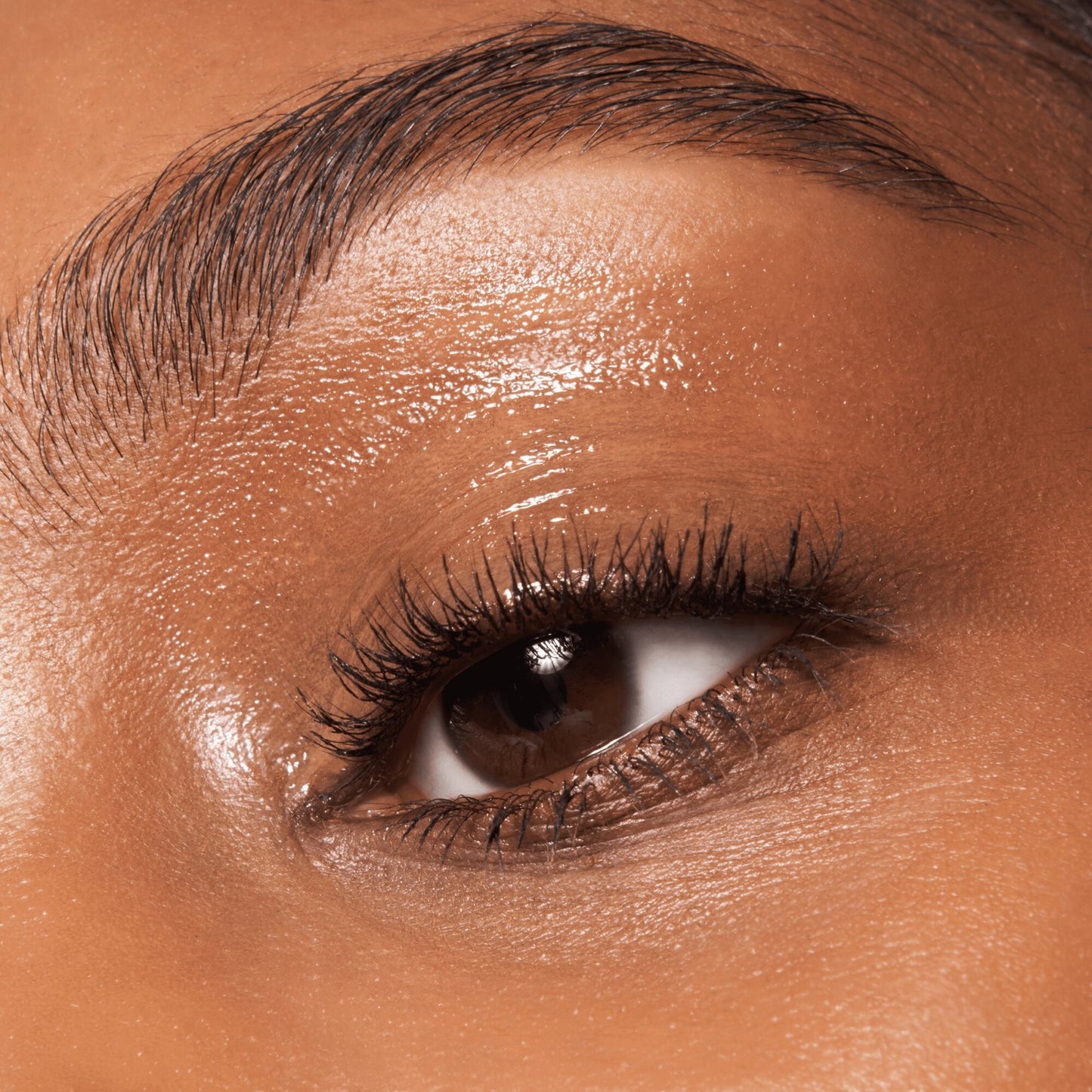 ظلال العيون السائلة من Essence Dewy Eye Gloss 01