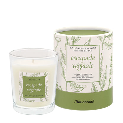 Botanical Escapade Scented Candle Green Tea & Verbena 75g