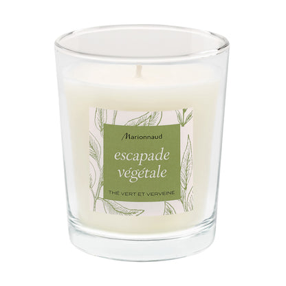 Botanical Escapade Scented Candle Green Tea & Verbena 75g