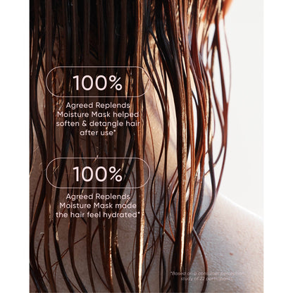 Nak Hair Signature Holiday Nourish Travel Trio 2025