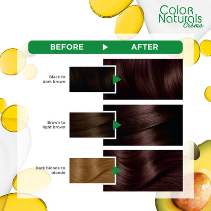 Garnier Colour Naturals Hair Colour 4.15 Brownie Chocolate