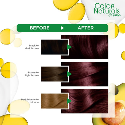 Garnier Colour Naturals Hair Colour 4.6 Burgandy