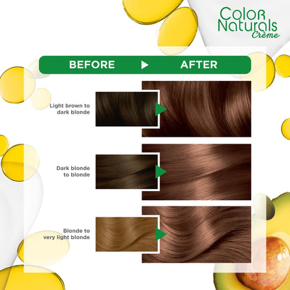 Garnier Colour Naturals Hair Colour 7.7 Deer Brown