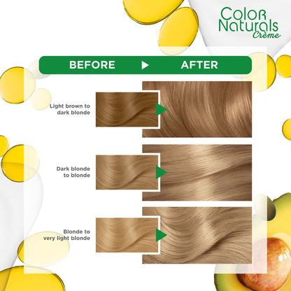 Garnier Colour Naturals Hair Colour 9.1 Ash Blond
