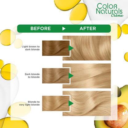 Garnier Olia Ammonia‑free Hair Color 10 Ultra Light Blond