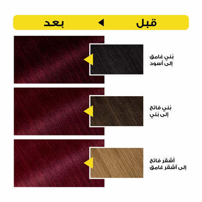 Garnier Olia Ammonia‑free Hair Color 4.6 Dark Red