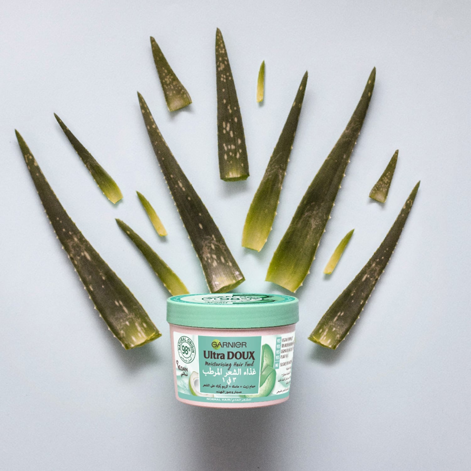 Buy Garnier Ultra Doux Moisturising Hair Food Mask & Leave-In Conditioner