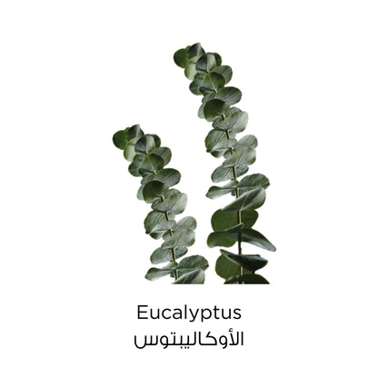 Pure Clay Green Face Mask Eucalyptus 50ml