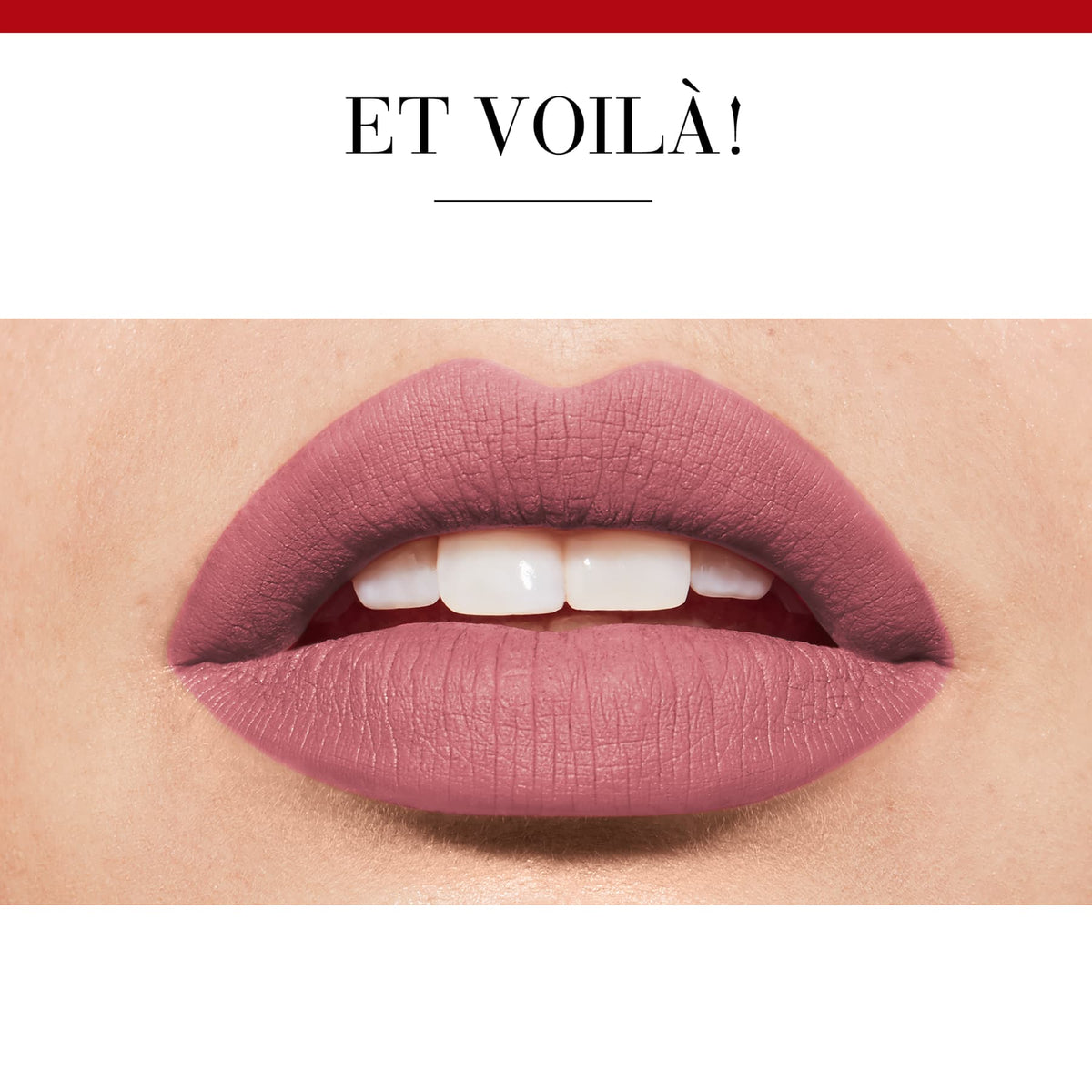 Rouge Velvet The Lipstick Matte 2.4g