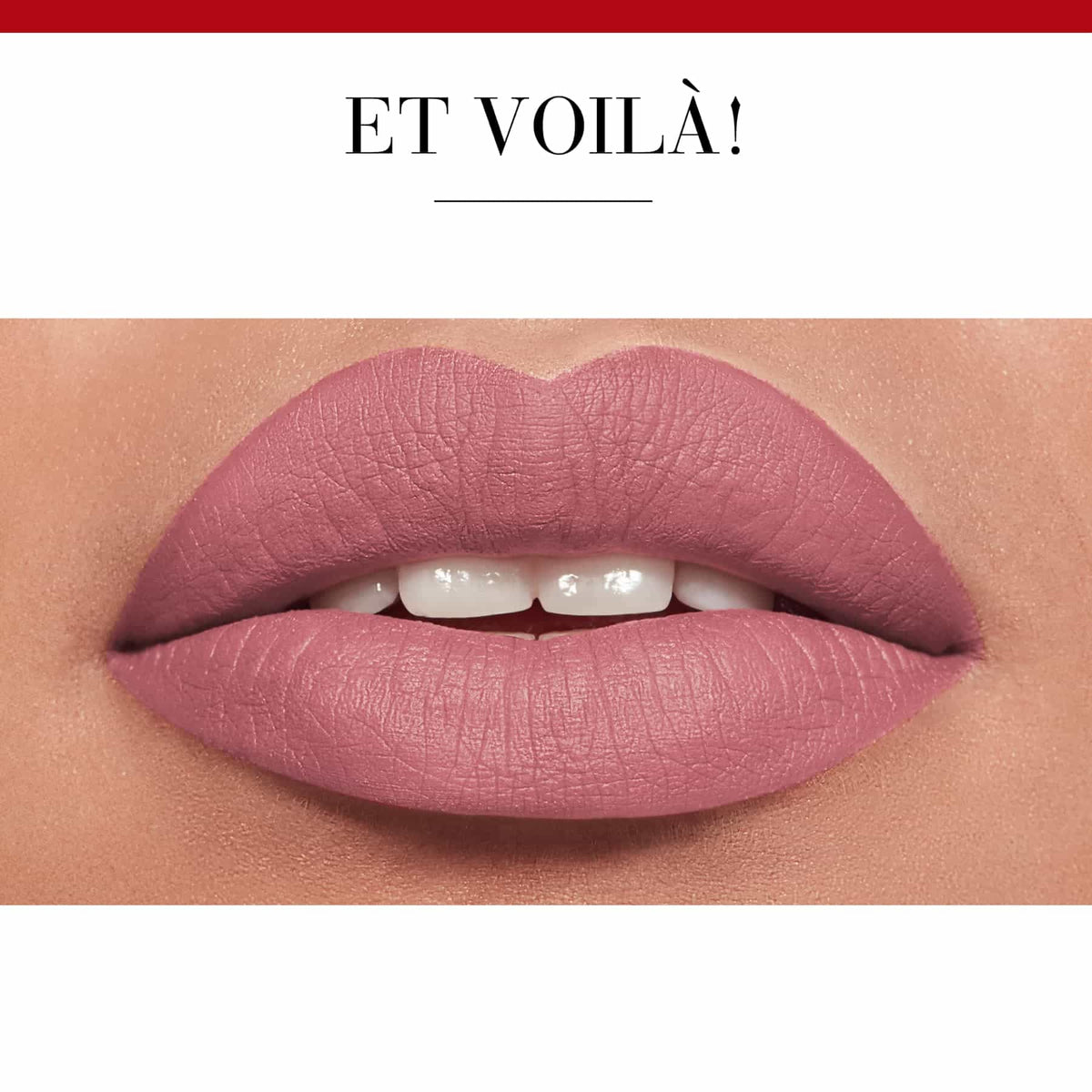 Rouge Velvet The Lipstick Matte 2.4g